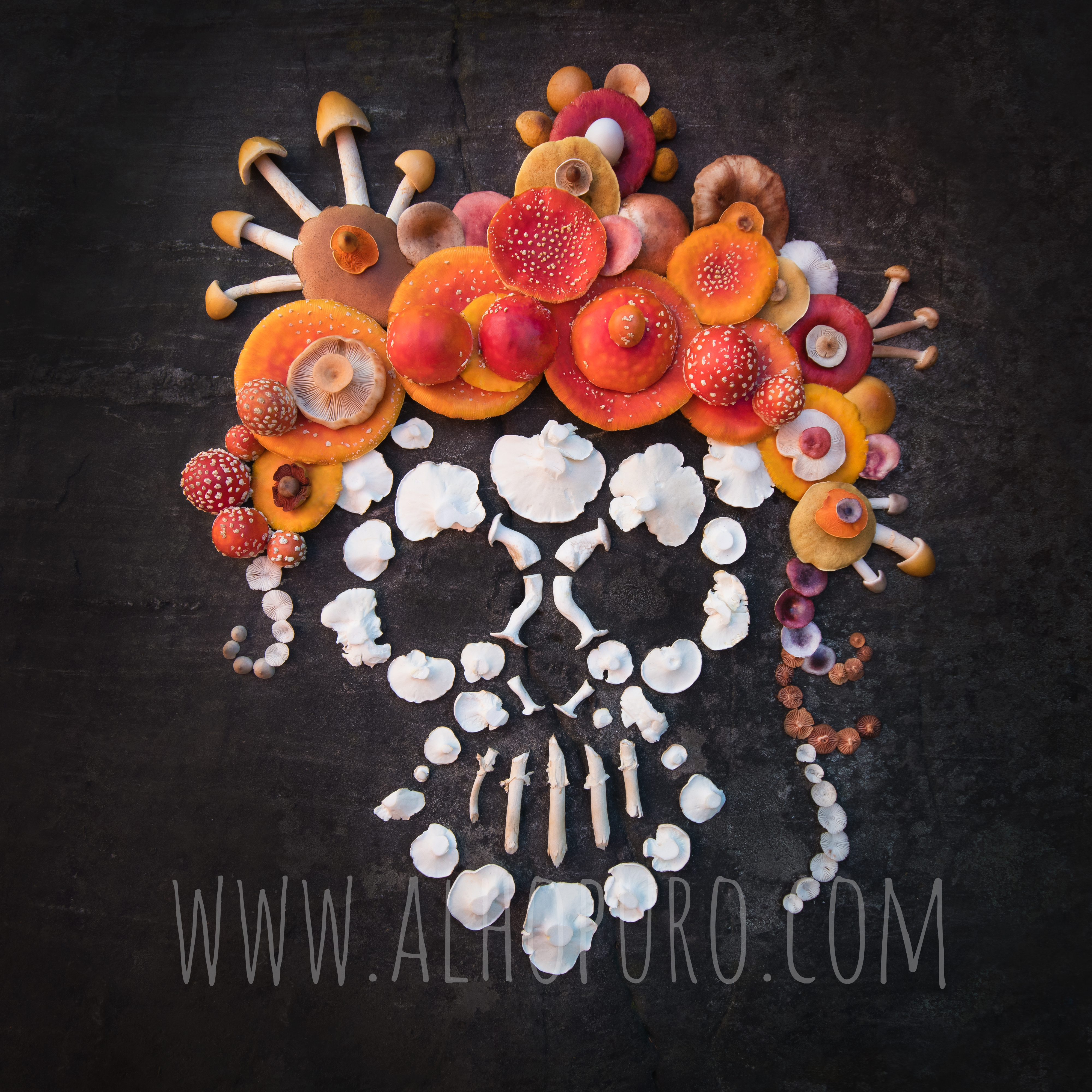Amanita Calavera (2018)