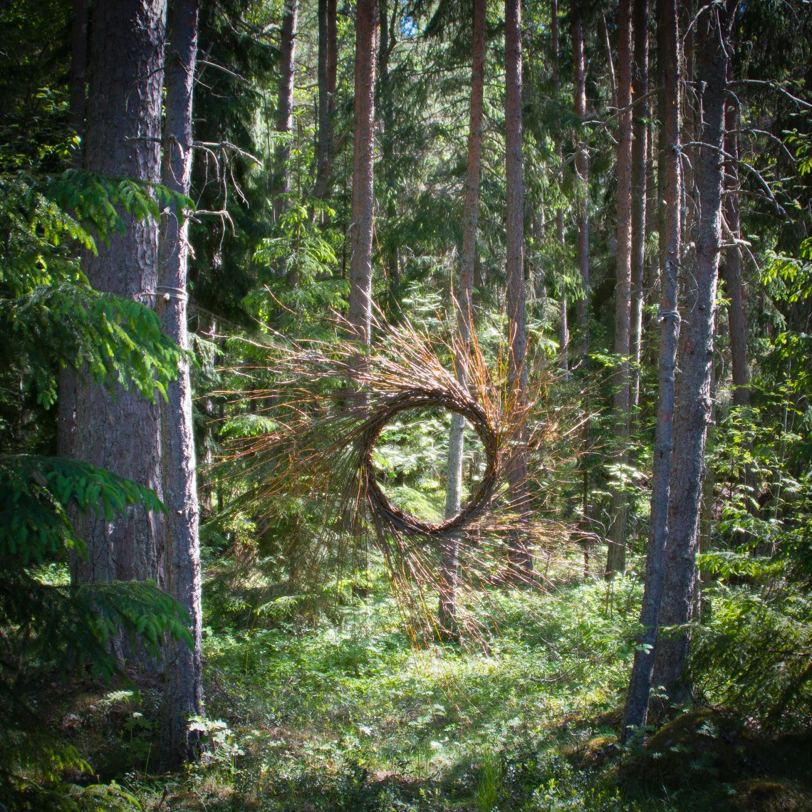 Window To The Forest (2018) 2
